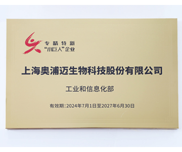 工信部专精特新“小巨人”