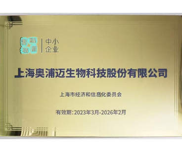 上海市“专精特新”中小企业