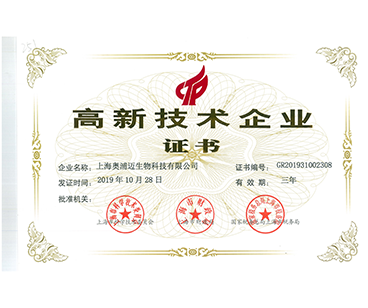 高新技术企业